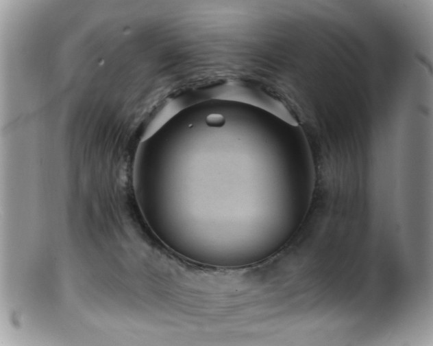 X0000099500032200805151442