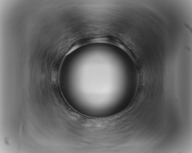 X0000099500033200805151442