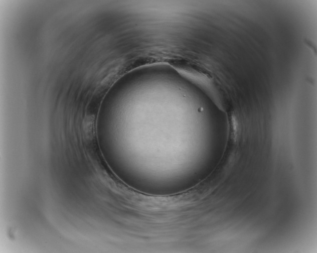 X0000099500034200805151442