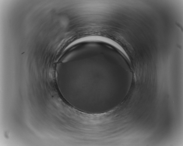 X0000099500035200805151442