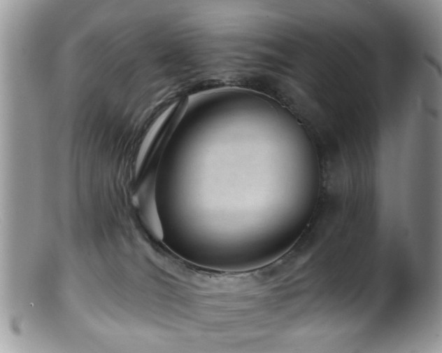 X0000099500036200805151442