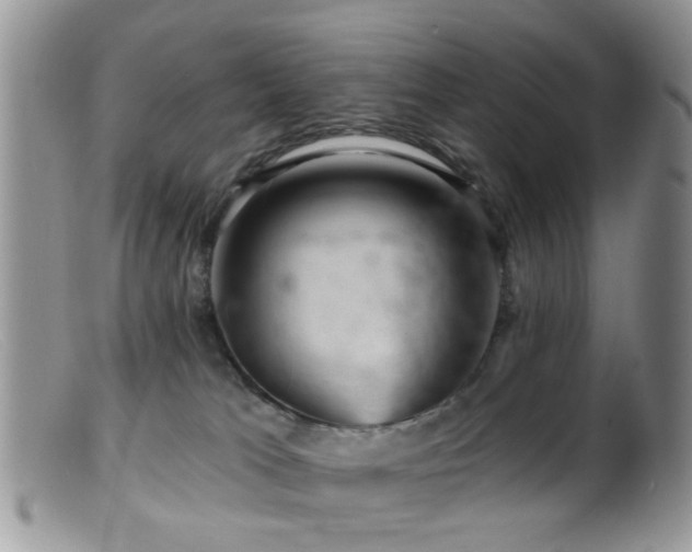 X0000099500037200805151442