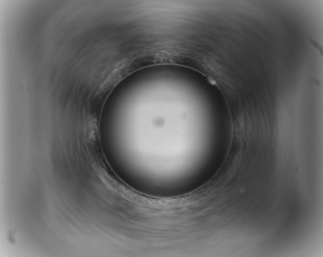 X0000099500038200805151442