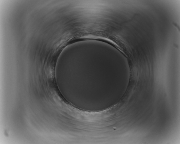 X0000099500039200805151442