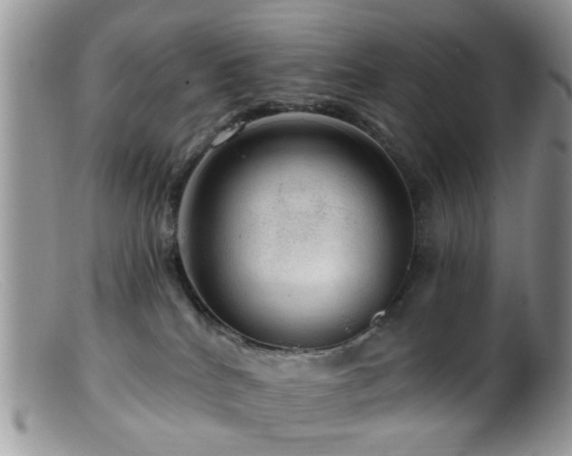 X0000099500040200805151442
