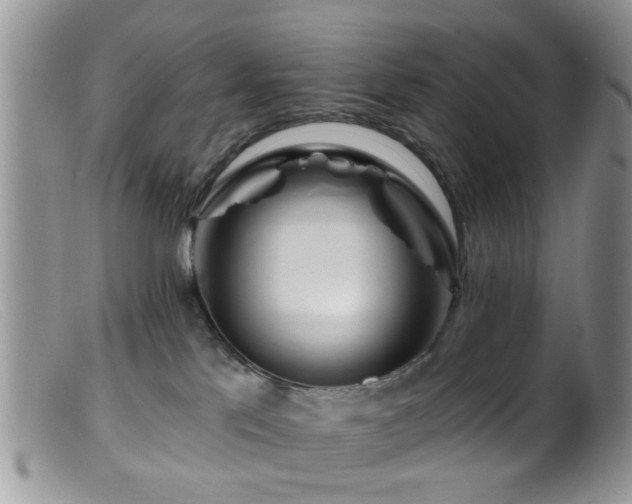 X0000099500041200805151442