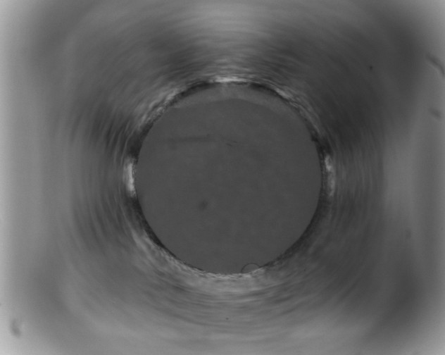 X0000099500042200805151442
