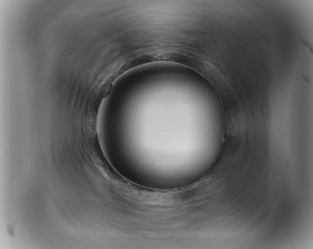 X0000099500044200805151442