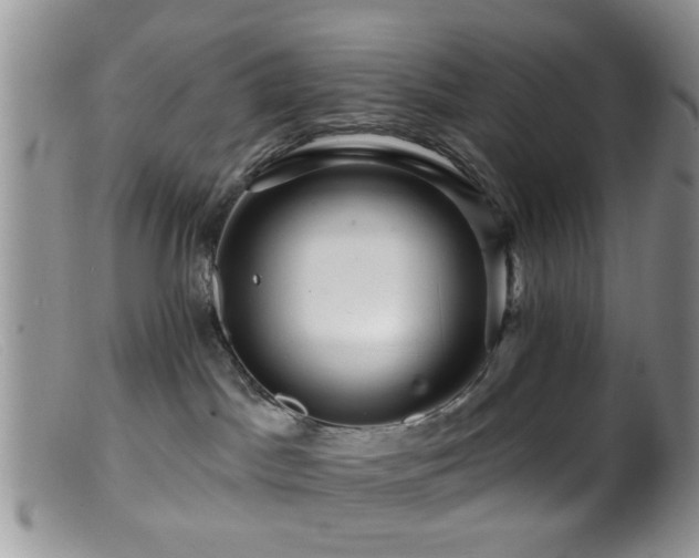 X0000099500045200805151442