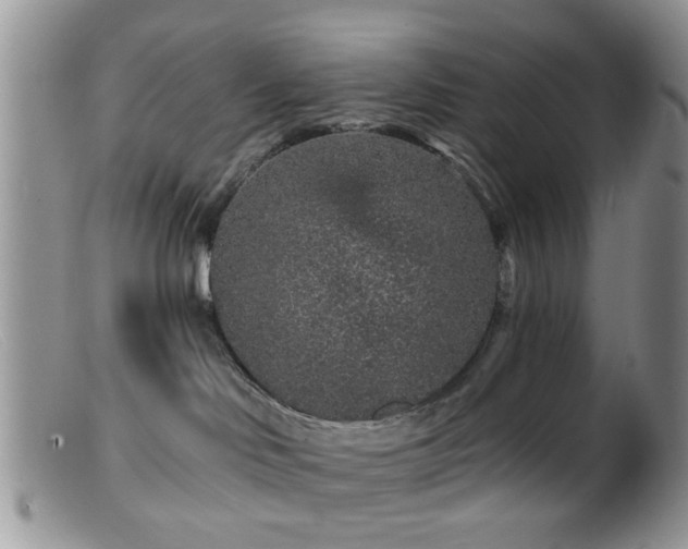 X0000099500046200805151442