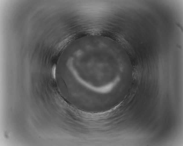 X0000099500047200805151442