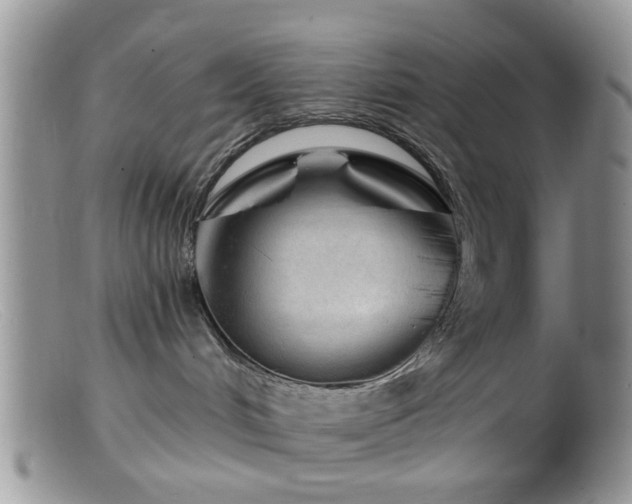 X0000099500048200805151442