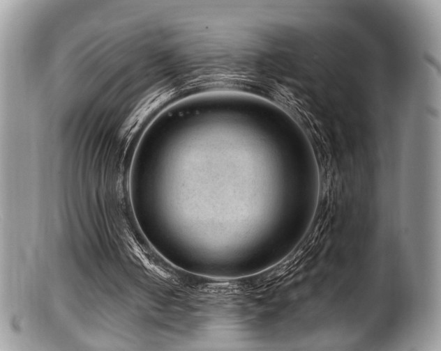 X0000099500050200805151441