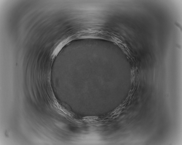 X0000099500051200805151441