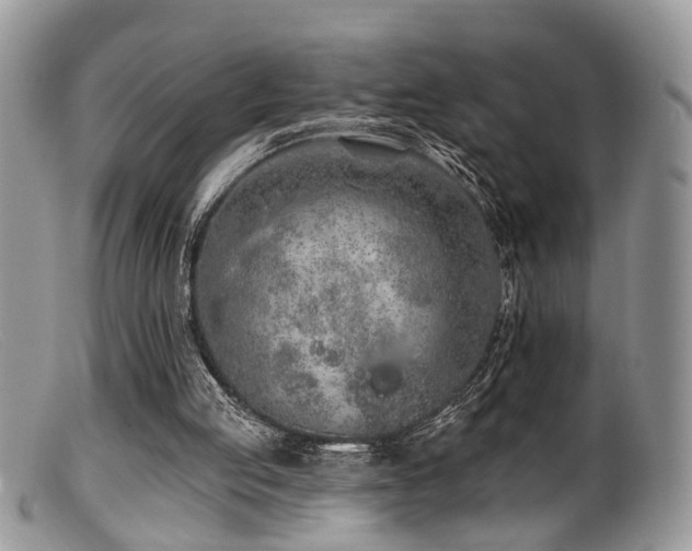 X0000099500053200805151441