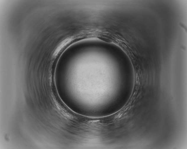 X0000099500054200805151441