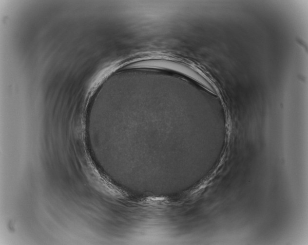 X0000099500055200805151441
