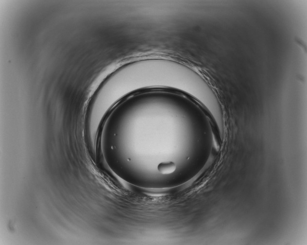 X0000099500056200805151441