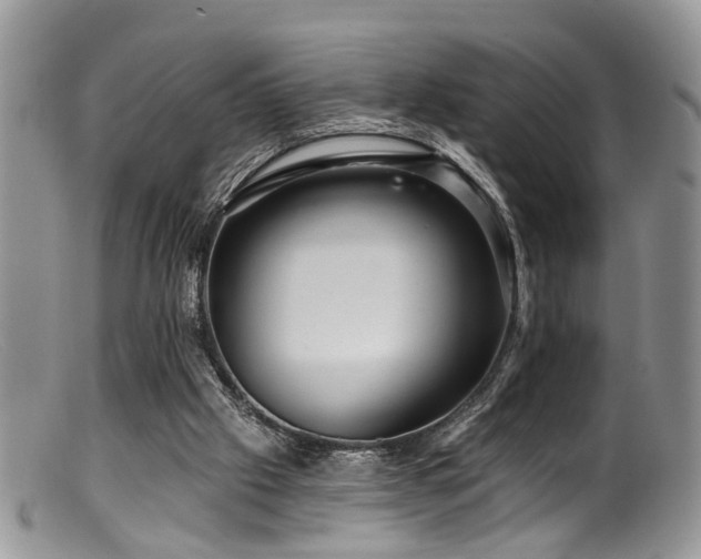 X0000099500057200805151441