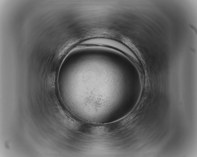 X0000099500058200805151441