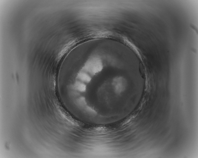 X0000099500059200805151441