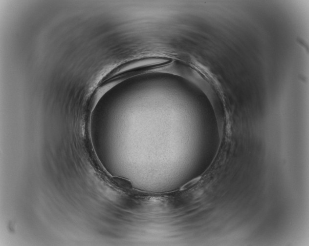 X0000099500060200805151441