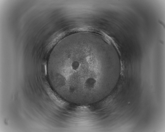 X0000099500061200805151441