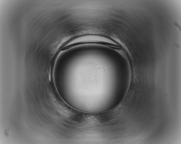X0000099500062200805151441