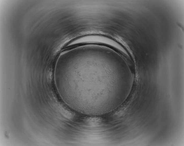X0000099500063200805151441