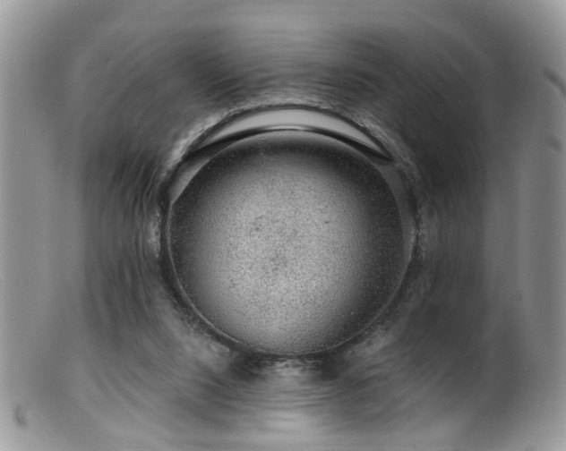 X0000099500064200805151441