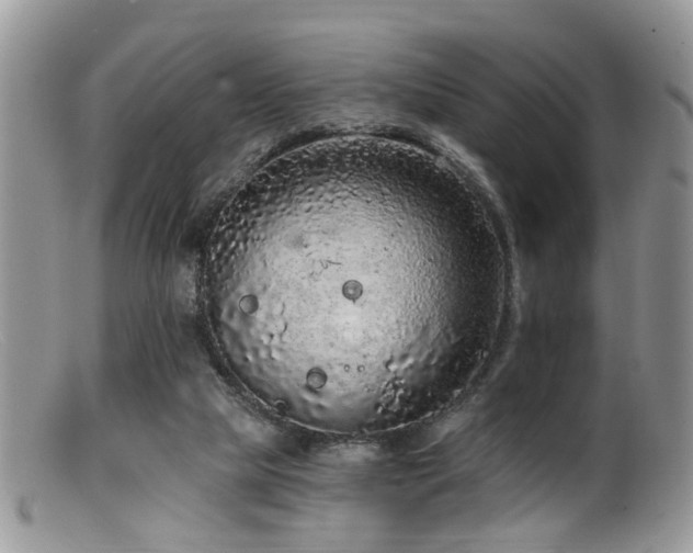 X0000099500065200805151441