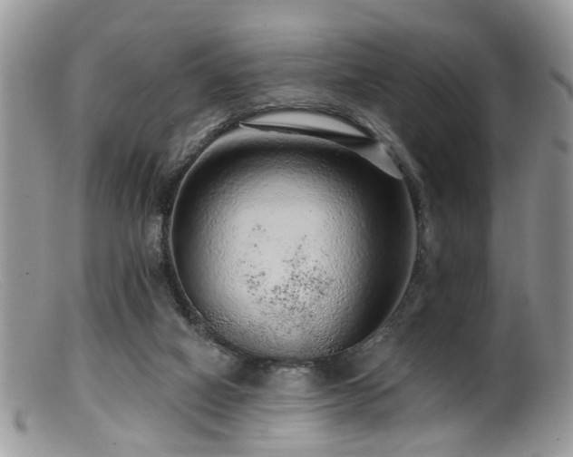 X0000099500066200805151441