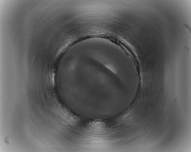X0000099500067200805151441