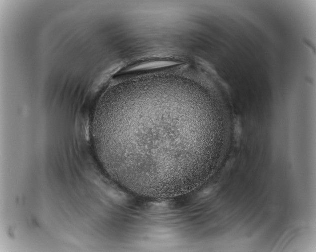 X0000099500068200805151441