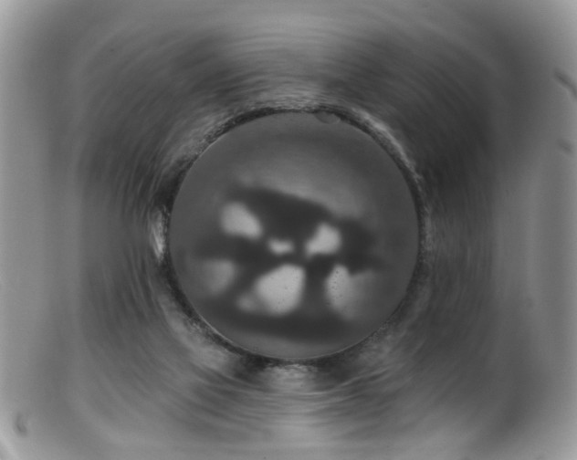 X0000099500069200805151441