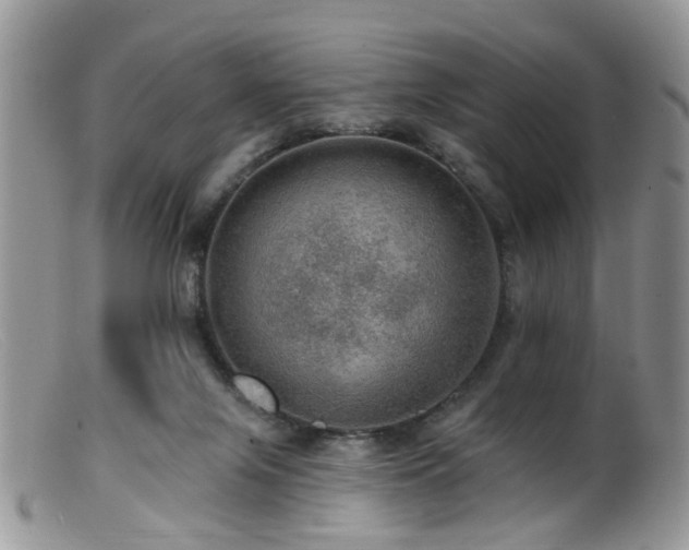 X0000099500071200805151442