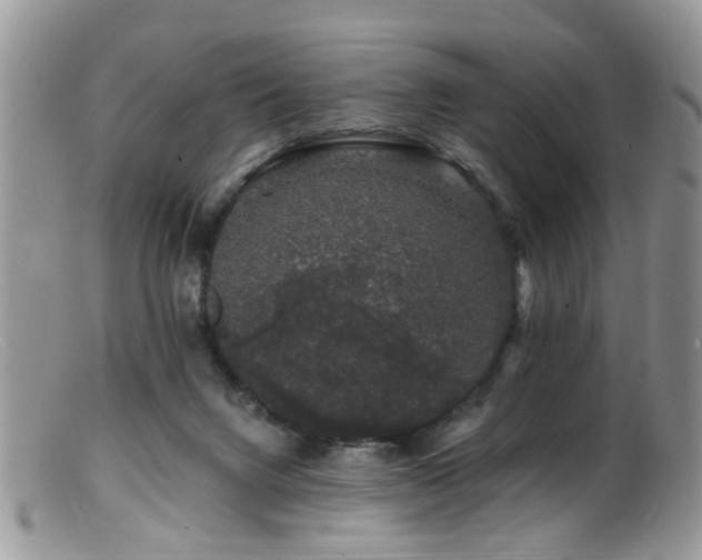 X0000099500072200805151442