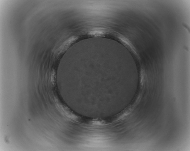X0000099500073200805151442