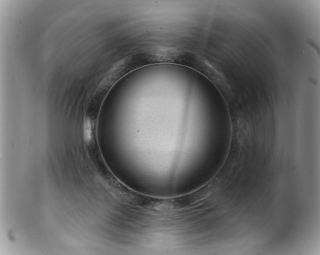 X0000099500075200805151442