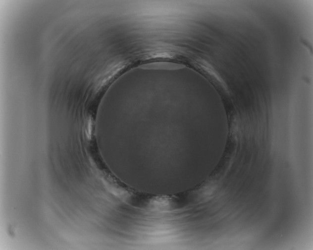 X0000099500076200805151442