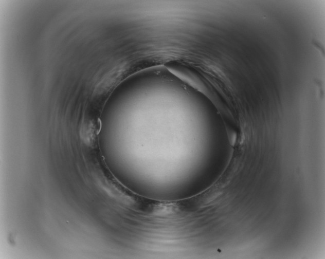 X0000099500077200805151442