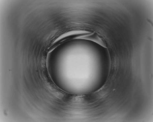 X0000099500078200805151442