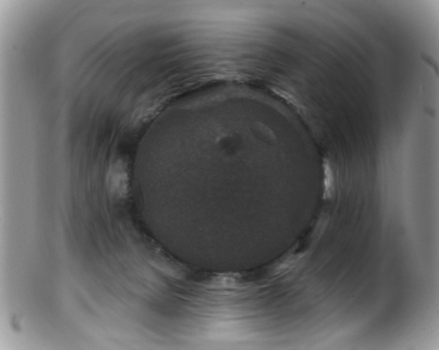 X0000099500080200805151442