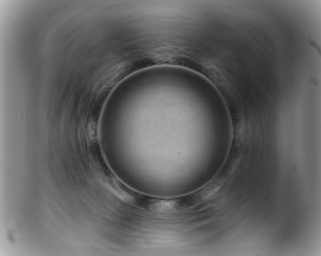 X0000099500081200805151442
