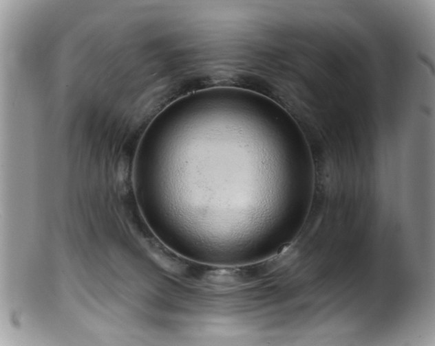 X0000099500082200805151442