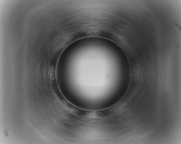 X0000099500083200805151442