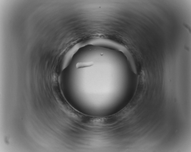 X0000099500084200805151442