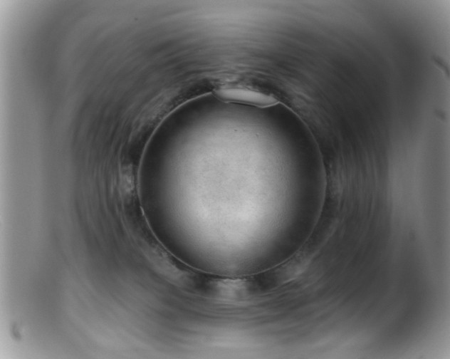 X0000099500085200805151442