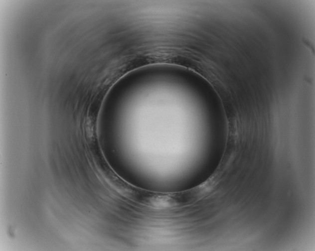 X0000099500086200805151442