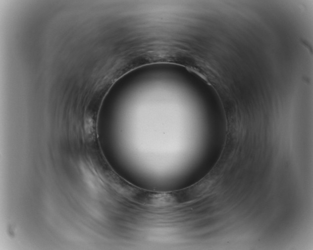 X0000099500087200805151442